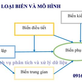 PHÂN TÍCH VỚI BIẾN ĐIỀU TIẾT