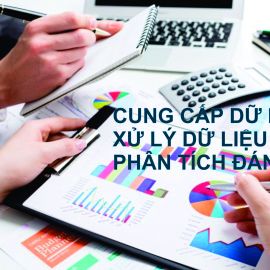 DỊCH VỤ CUNG CẤP VÀ XỬ LÝ CÁC LOẠI DỮ LIỆU