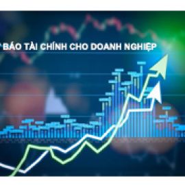 HƯỚNG DẪN THỰC HIỆN DỰ BÁO TÀI CHÍNH DOANH NGHIỆP