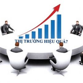 ĐÁNH GIÁ MỨC ĐỘ HIỆU QUẢ CỦA THỊ TRƯỜNG CHỨNG KHOÁN VIỆT NAM