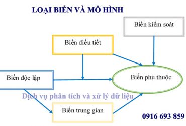  CÁC LOẠI BIẾN VÀ MÔ HÌNH