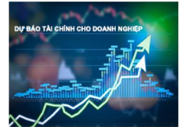 DỰ BÁO TÀI CHÍNH DOANH NGHIỆP